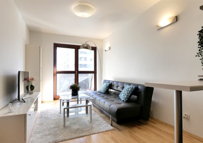 mieszkanie na wynajem - Kraków, Dębniki, Ruczaj, dr. Jana Piltza