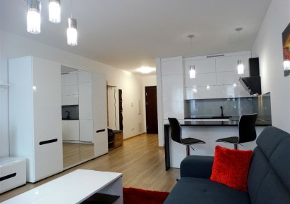 mieszkanie na sprzedaż - Kraków, Dębniki, Ruczaj, Jana Kantego Federowicza