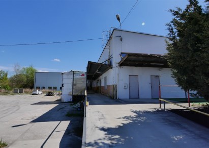 hala na wynajem - Kraków, Czyżyny, Łęg